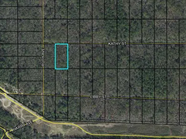 00 KATHY Street, Hastings, FL 32110