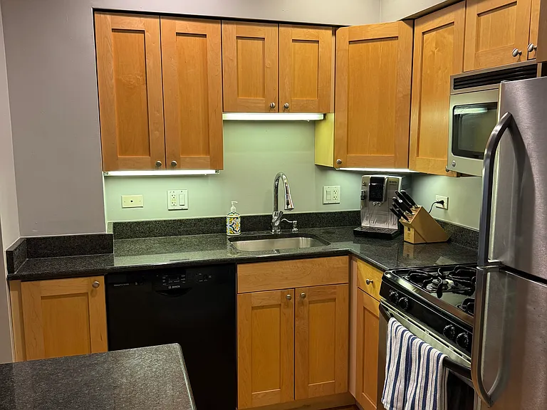 2045 N Larrabee St #7105 — Photo 2