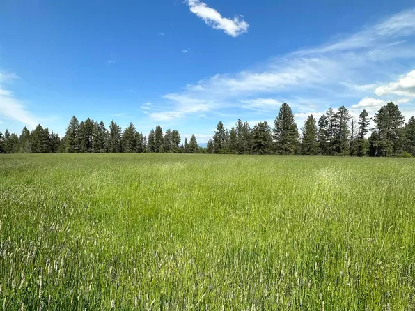 Lukes Gulch Road Elks Flt Parcel A, Grangeville, ID 83530