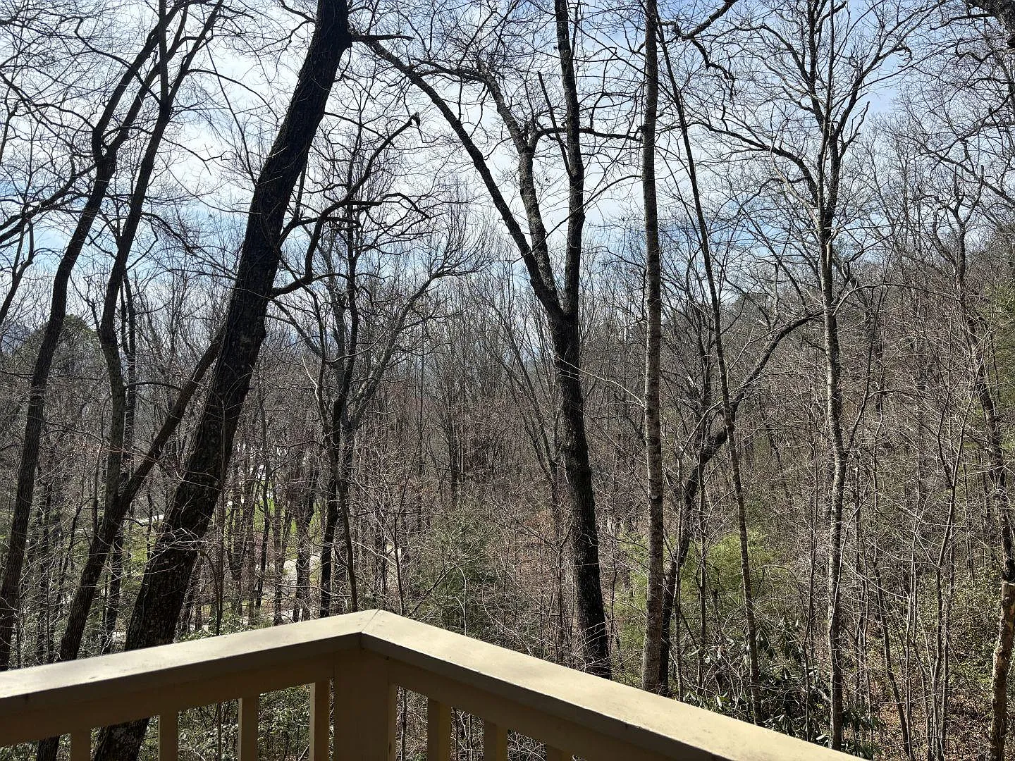 2 bed, 1202 sqft, $1,800 — Photo 4