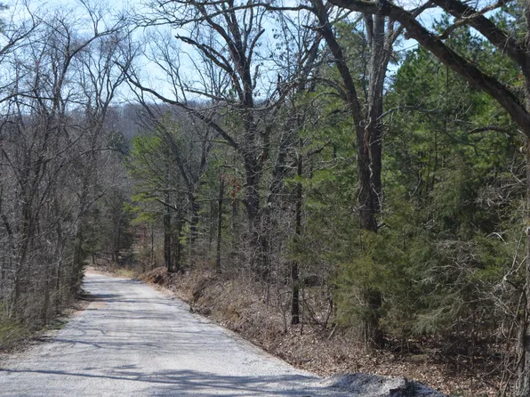135 Alpine Road, Forsyth, MO 65653