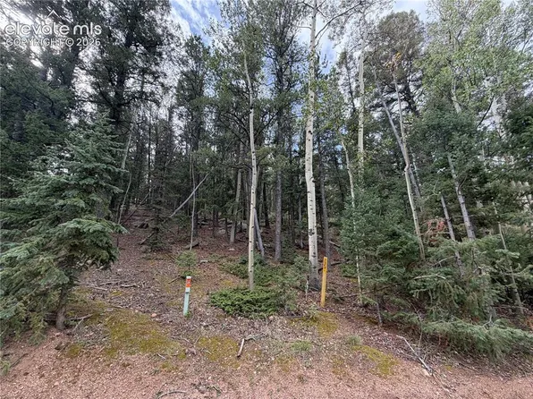 118 Will Stutley Dr, Divide, CO 80814