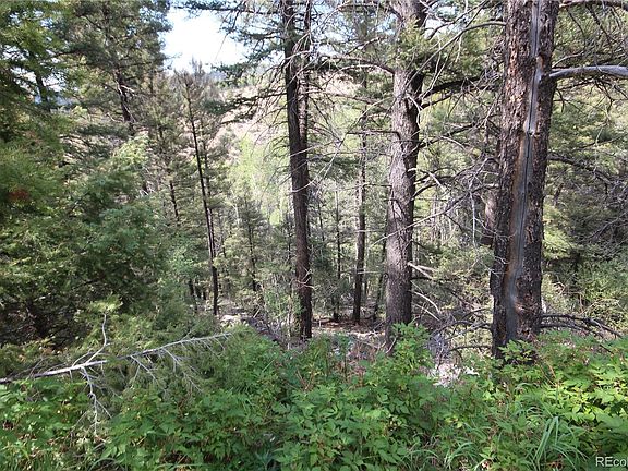 3rd image of LOT 6401 Ryland Road