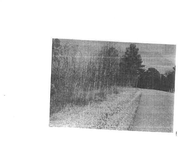 1st image of 20 Asbury Dr Lot 20