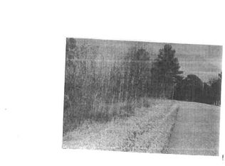 20 Asbury Dr LOT 20, Somerville, TN 38068