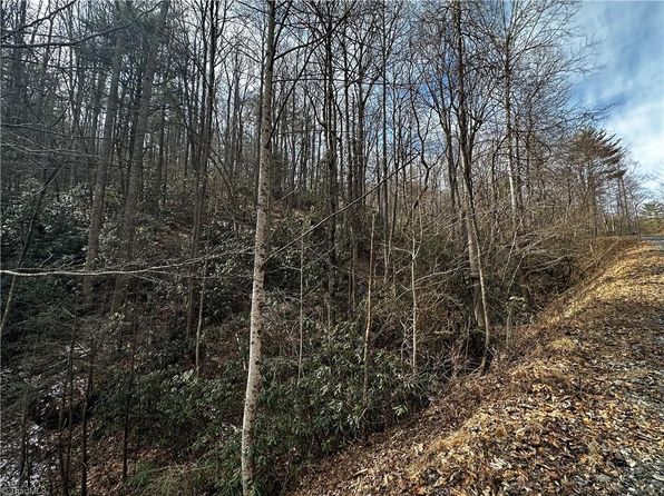 1 Timber Ridge Ln, Millers Creek, NC 28651