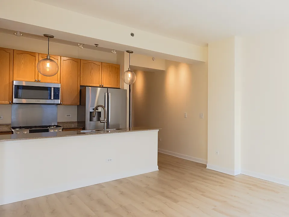 1400 S Michigan Ave #1711