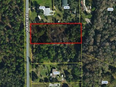 Grape Ave, Okeechobee, FL, 34972