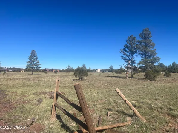 Dynamite Rd, Lakeside, AZ 85929