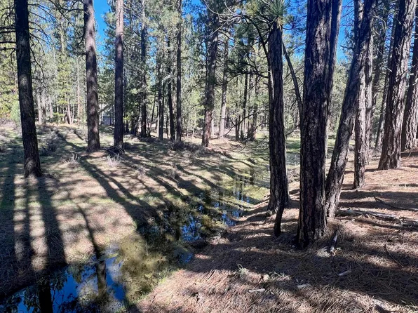 760 Goldridge Dr, Blairsden Graeagle, CA 96103
