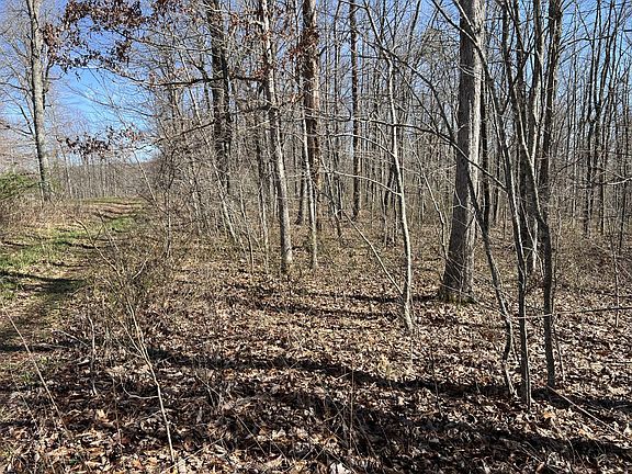 2nd image of 7 Deerhead Rd Lot 7