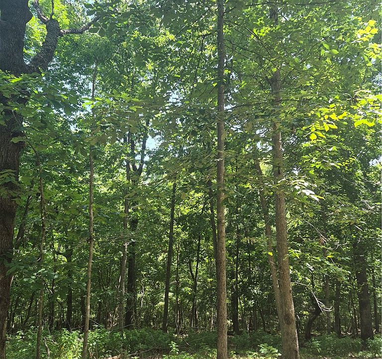 1st image of Rivendell Lane Bentonville Arkansas #72712