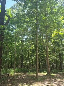 Rivendell Lane Bentonville Arkansas #72712, Bentonville, AR, 72712