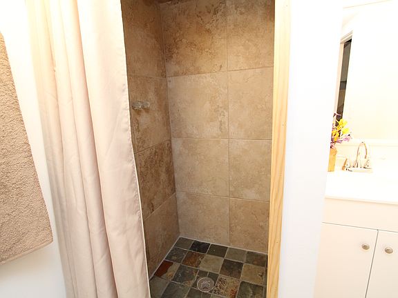 Shower in lower level bath