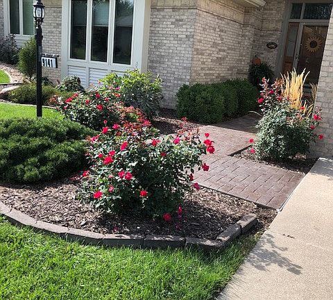 3rd image of 9141 Pioneer Ct
