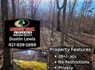 1 Abadyl Rd, Fordland, MO 65652