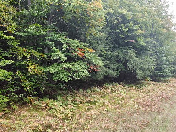 4th image of 0 Torch Oaks Dr