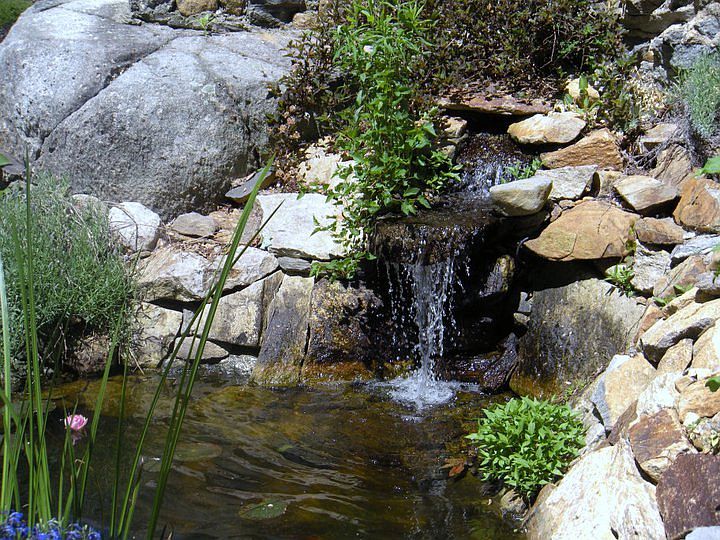 Pond