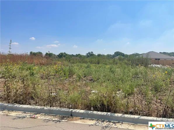 1007 Antelope Trl, Temple, TX 76504