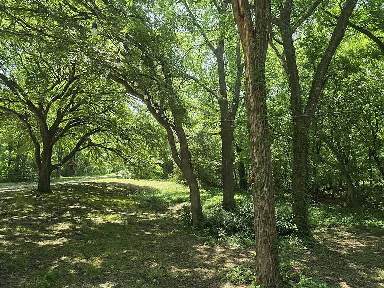 9397 Azle Hwy — Photo 39
