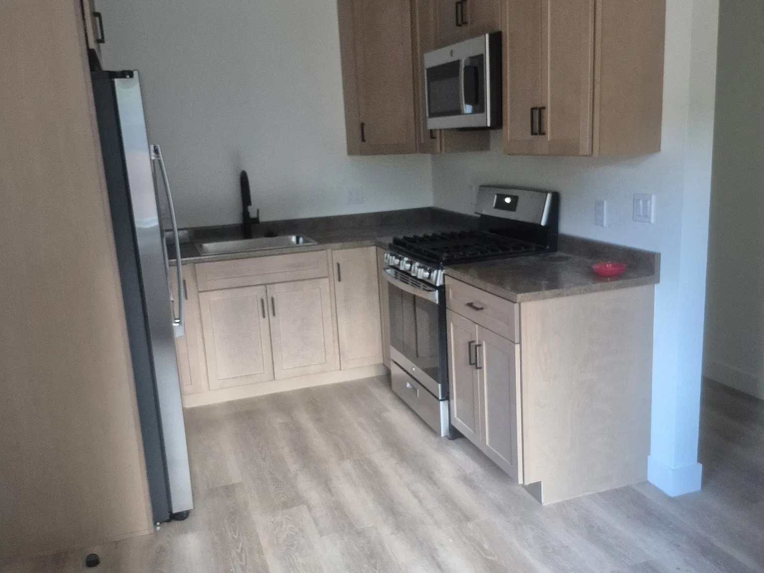 2 bed, 1000 sqft, $1,900 — Photo 4