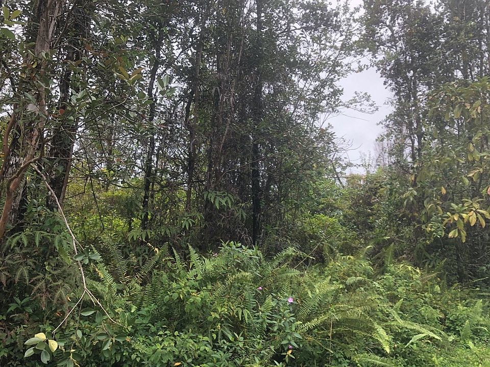 2nd image of Aloha Dr