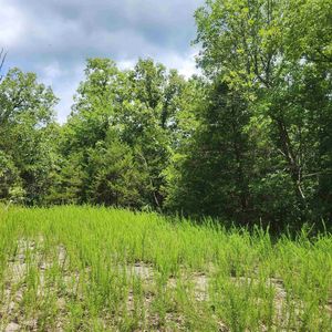 L-83 Hernando Trce #B, Cherokee Village, AR, 72529