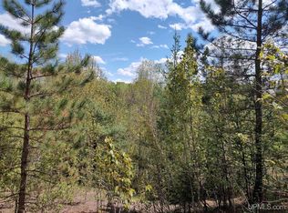 Tbd Dunham Rd, Marenisco, MI 49947