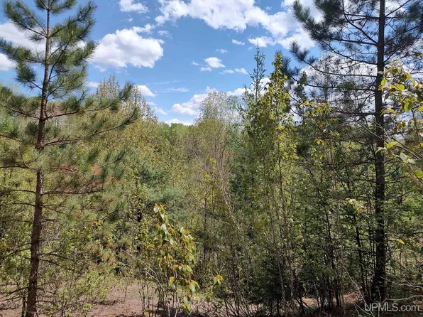 Tbd Dunham Rd, Marenisco, MI 49947