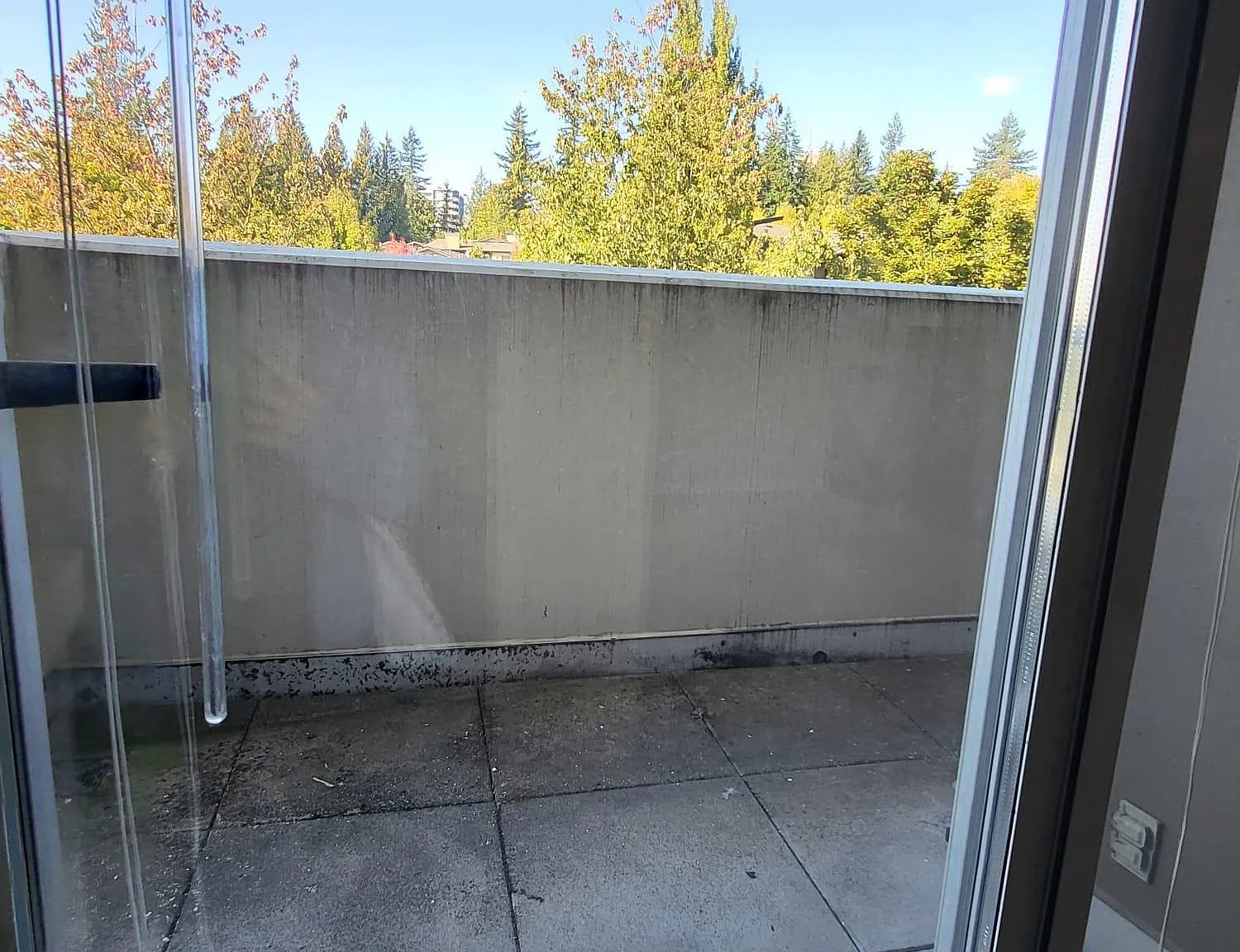 Studio, 380 sqft, $1,550 — Photo 4