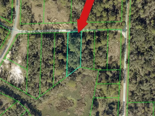 N CANAL STREET LOT 28, WEBSTER, FL 33597