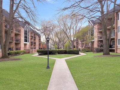 1041 N Mill St APT 304, Naperville, IL, 60563