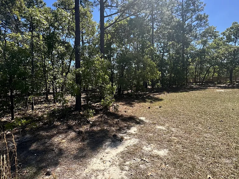 88 Dove Trl — Photo 38