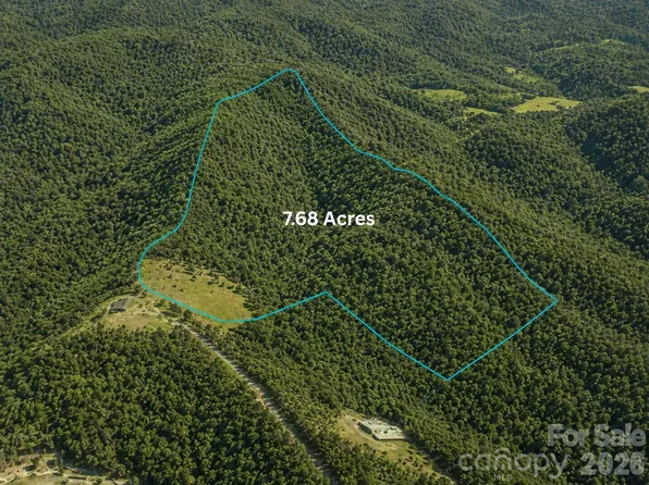 1 Panther Ridge Ln, Franklin, NC 28734