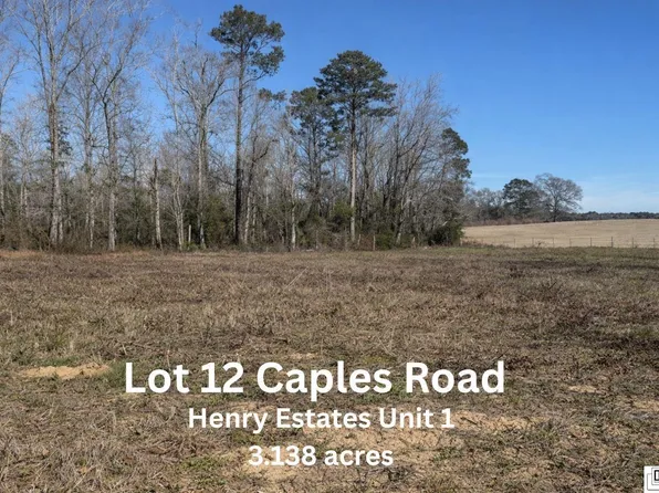 12 Caples Rd, West Monroe, LA 71292