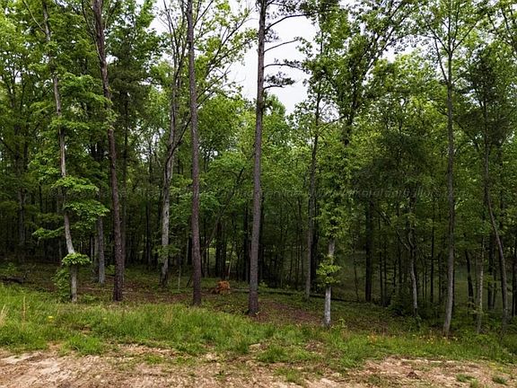 3rd image of LOT 5 Shoreside Rd