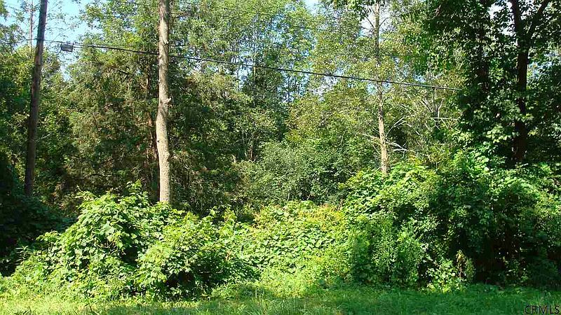3rd image of TOMPKINS Road