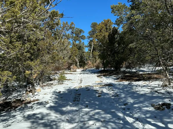 (undisclosed Address), Edgewood, NM 87015