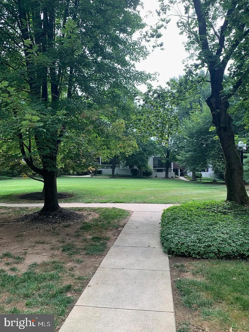 2 bed, 988 sqft, $2,000 — Photo 4