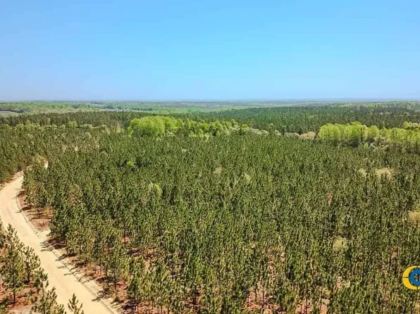 Jw Sowell Rd, Jefferson, SC 29718