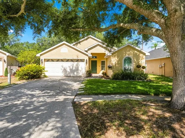 4532 Wild Plum Ln, Lutz, FL 33558