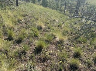 53 Chateau West Dr, Florissant, CO 80816