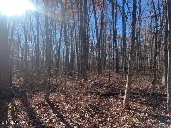 0 Sawmill Rd Lot 28, Monterey, TN 38574
