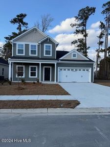 2433 Flowery Branch Drive #198, Castle Hayne, NC, 28429