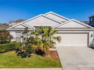 30351 Arrochar St, Wesley Chapel, FL 33545