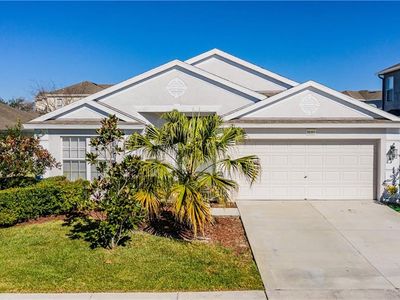 30351 Arrochar St, Wesley Chapel, FL, 33545