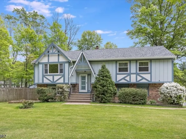 193 S Hillside Ave, Roxbury Twp., NJ 07876