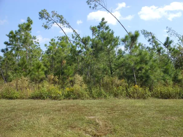 10 Wide Water Cir, Wewahitchka, FL 32465