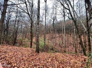 LOT 13 Rayl Hollow Rd, Decatur, TN 37322