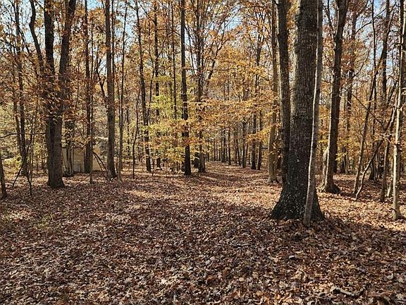 4th image of 1652 Moccasin Path Trl